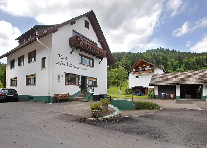 Lägenhet Am Wehrastrand App 2 Todtmoos